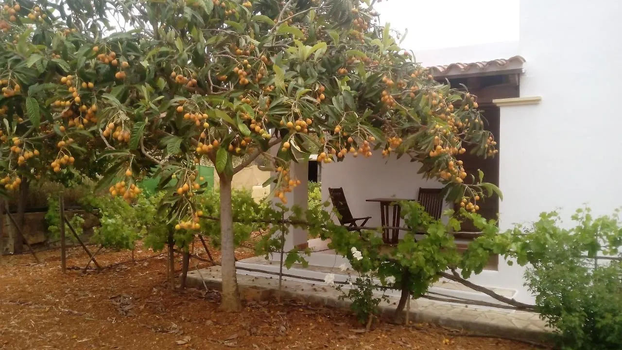 Villa Can Turrent Sant Carles de Peralta 0*,