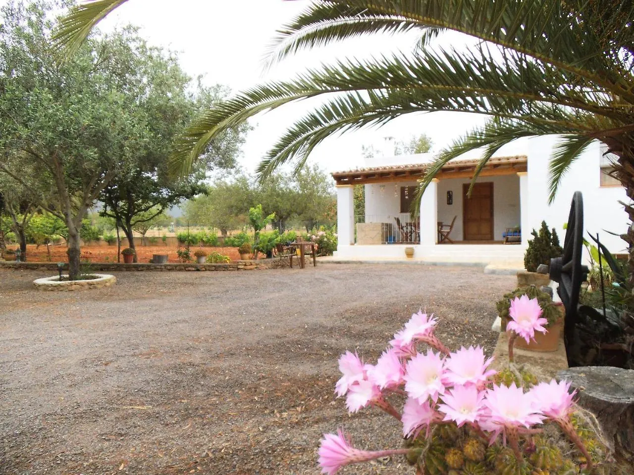 Villa Can Turrent Sant Carles de Peralta